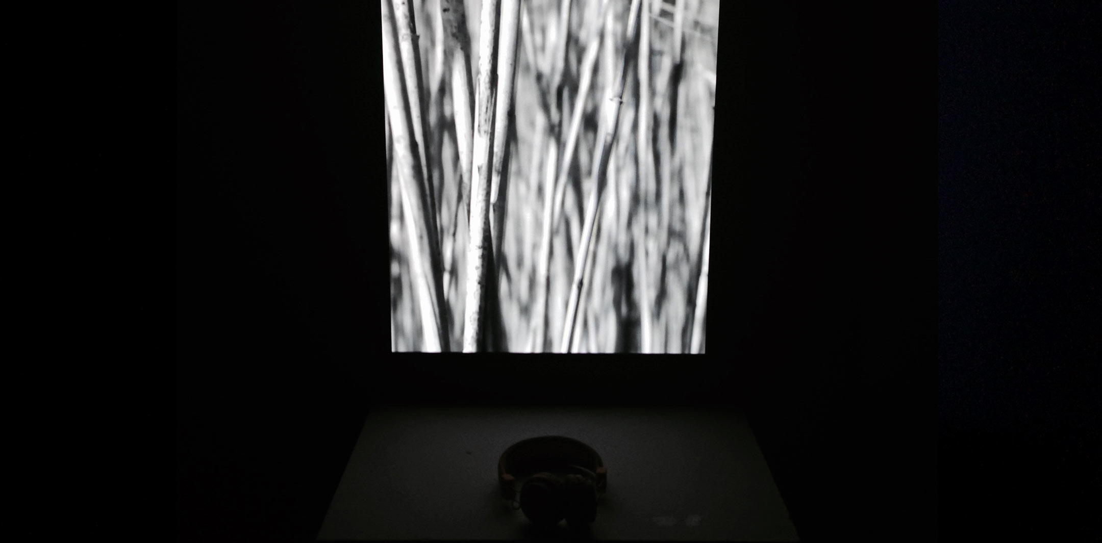 I have nothing to say about anything at all